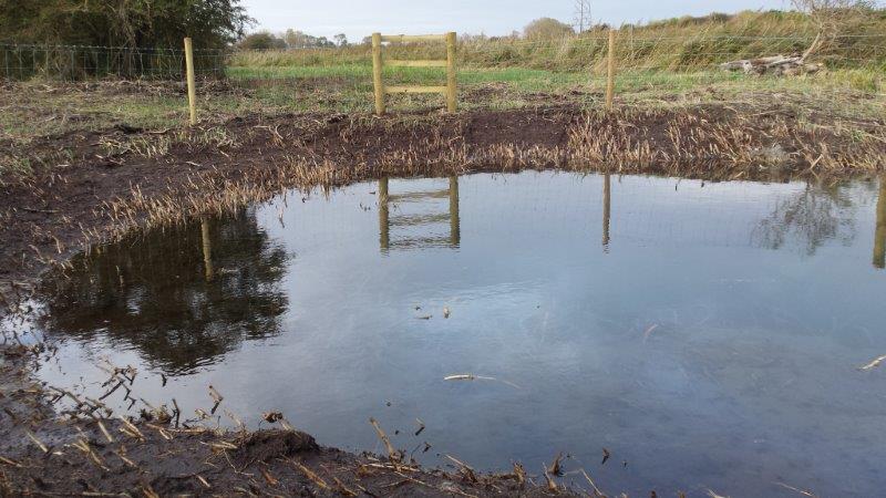 Somptings Dragon In The Knucker Hole Pond